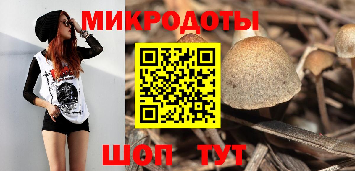 Псилоцибиновые грибы мицелий Зима